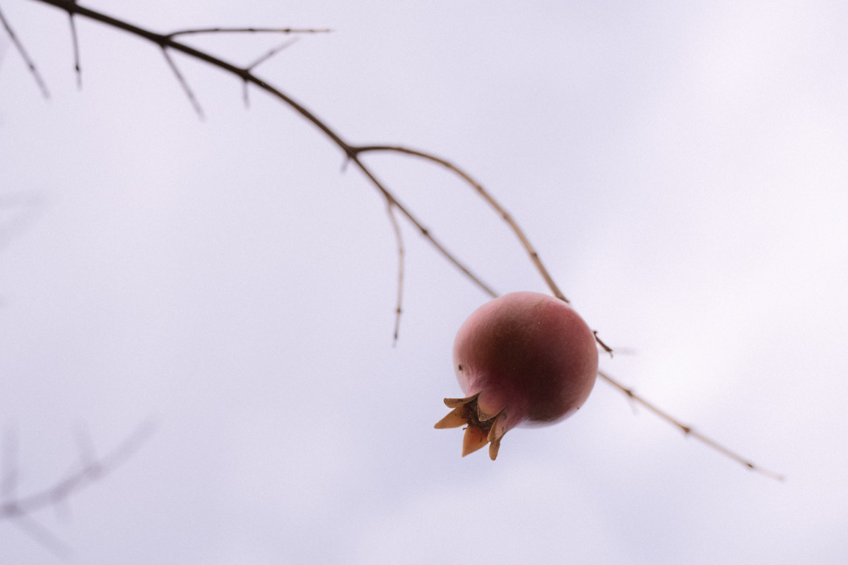 Όταν είσαι Îτοιμος