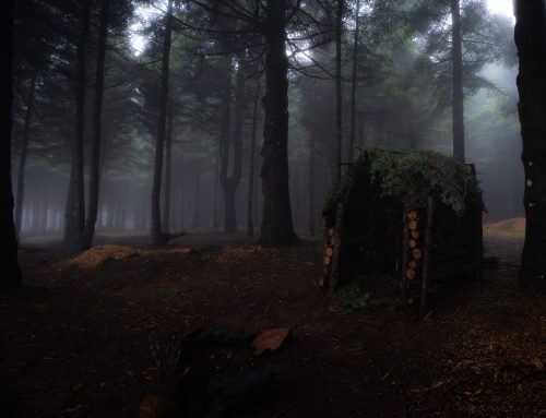 Visual Storytelling In Fog